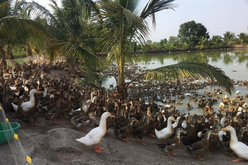 Đời sống kinh tế và văn hóa Ia Hiao